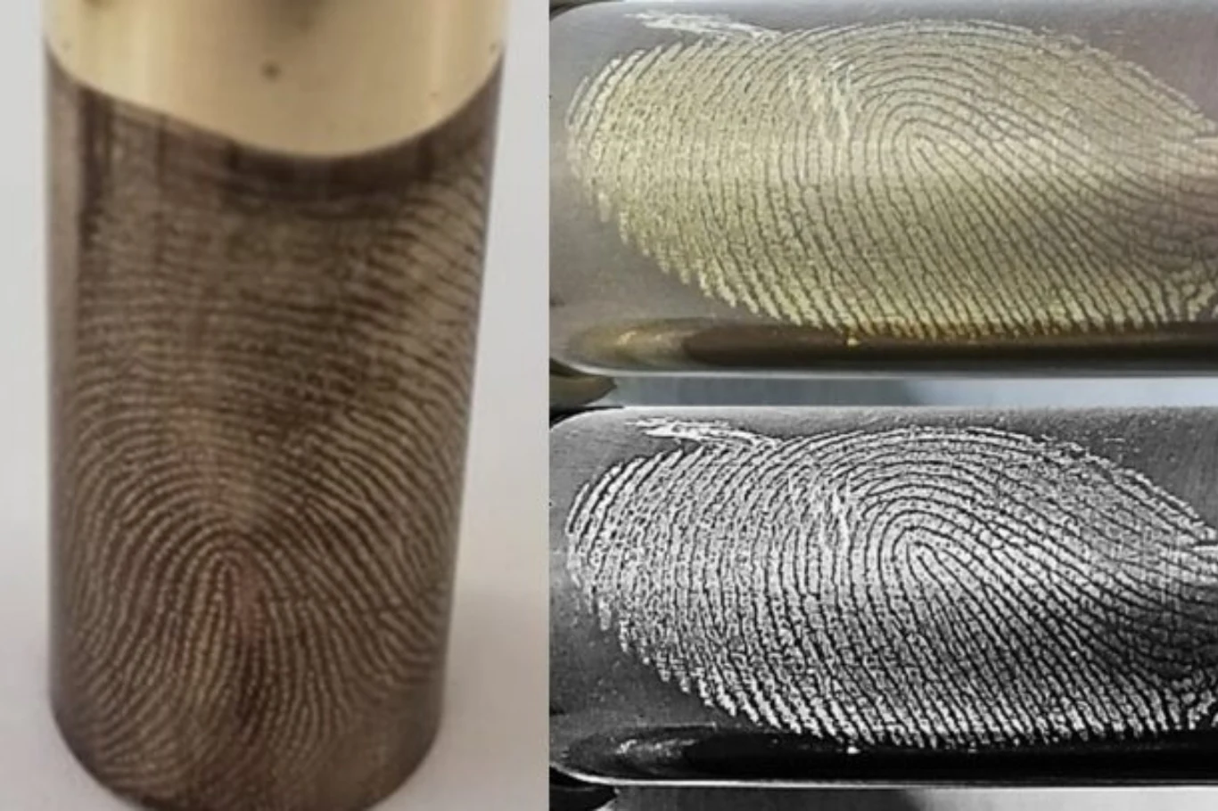 Naukowcy opracowali innowacyjną metodę odzyskiwania odcisków palców z łusek wystrzelonej amunicji. Odciski palców naniesione na powierzchni metalowego cylindra, widoczne zarówno w ujęciu z przodu, jak i z boku, pod różnym kątem oświetlenia, co eksponuje szczegóły linii papilarnych.