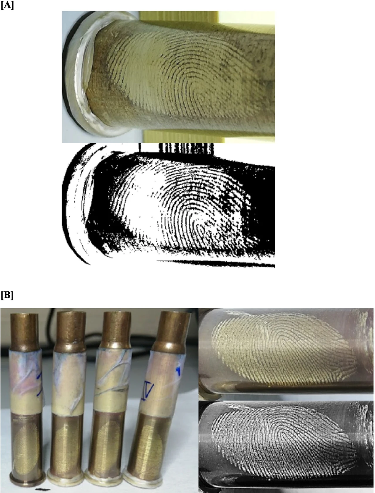 Zastosowanie nowej metody sprawia, że na łusce pojawia się odcisk palca osoby, która załadowała amunicję. Odciski palców na łuskach nabojów, które ukazują szczegółowy wzór linii papilarnych oraz porównania obrazu oryginalnego z jego wersją obrobioną komputerowo w celu podkreślenia śladów. Dodatkowo kilka łusek owiniętych taśmą lub folią z widocznymi oznacz...