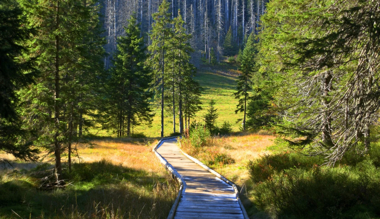 Rówień Waksmundzka - piękny punkt widokowy w Tatrach Rówień Waksmundzka - piękny punkt widokowy w Tatrach
