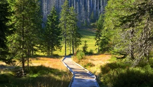Łatwy szlak w Tatrach na koniec jesieni. Nie spotkasz tam tłumów turystów