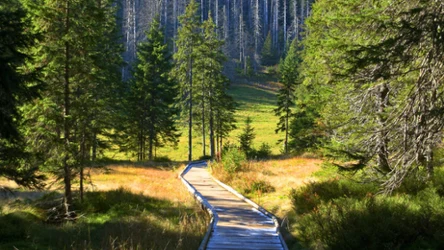 Rówień Waksmundzka - piękny punkt widokowy w Tatrach 