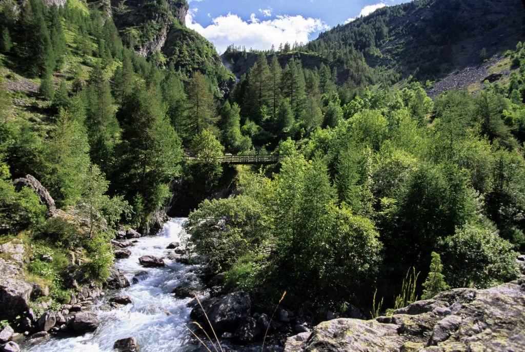 Górski potok płynący przez skalisty wąwóz otoczony gęstym, zielonym lasem, w tle widoczny drewniany mostek oraz zalesione zbocza górskie pod błękitnym niebem z pojedynczymi chmurami.
