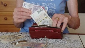 Zaproponowali próg dla 800 plus. Nawet 13,4 mld zł zysku rocznie