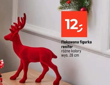 Північний олень Renifer