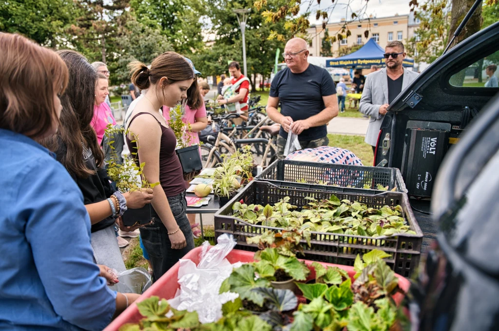 Czyste, Zielone Miasta w Bydgoszczy Grupa osób zgromadzona wokół stolika z sadzonkami roślin, mężczyzna rozdaje rośliny młodym ludziom w parku miejskim, w tle drzewa i budynek.