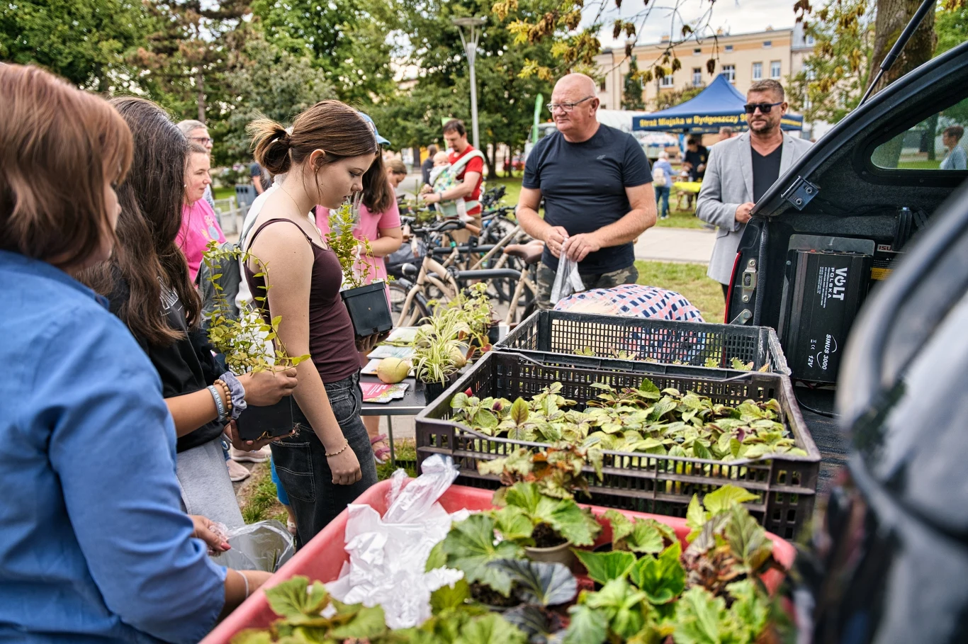 Czyste, Zielone Miasta w Bydgoszczy Grupa osób zgromadzona wokół stolika z sadzonkami roślin, mężczyzna rozdaje rośliny młodym ludziom w parku miejskim, w tle drzewa i budynek.