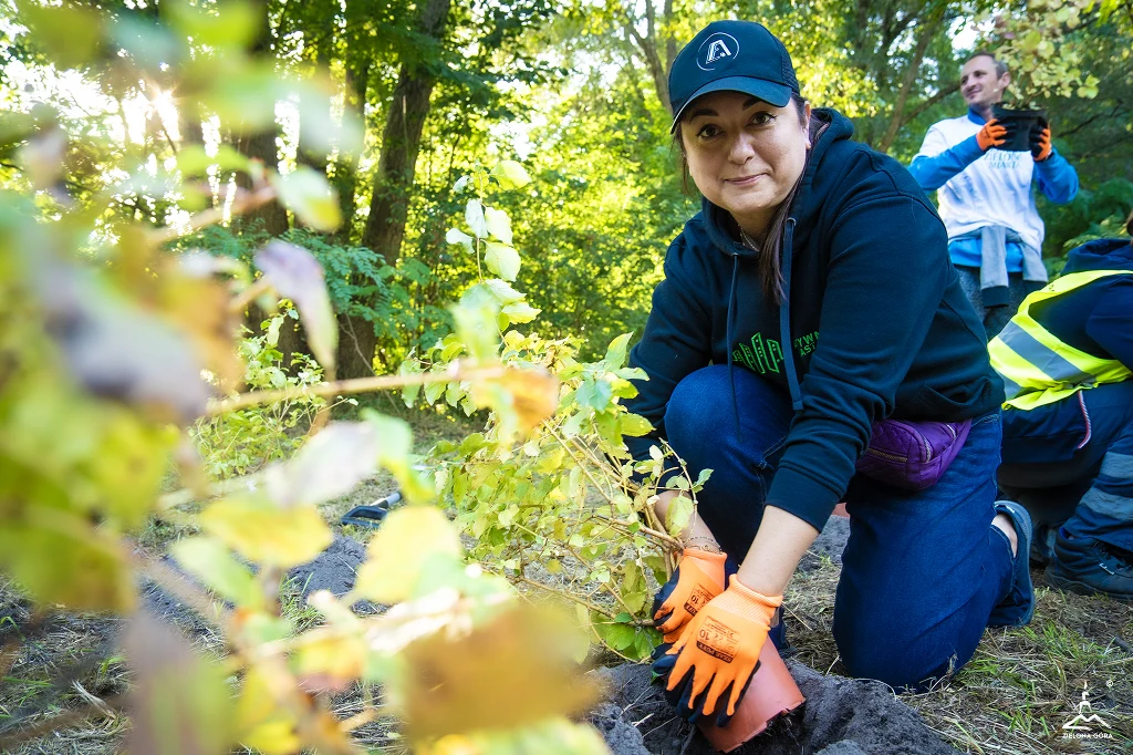 Czyste, Zielone Miasta w Zielonej Górze Kobieta w pomarańczowych rękawiczkach sadzi młodą roślinę w lesie, wokół niej widoczne są inne osoby biorące udział w tej samej akcji. Słoneczne światło przebija się przez drzewa, tworząc przyjazną atmosferę współpracy i zaangażowania w ochronę środowi...