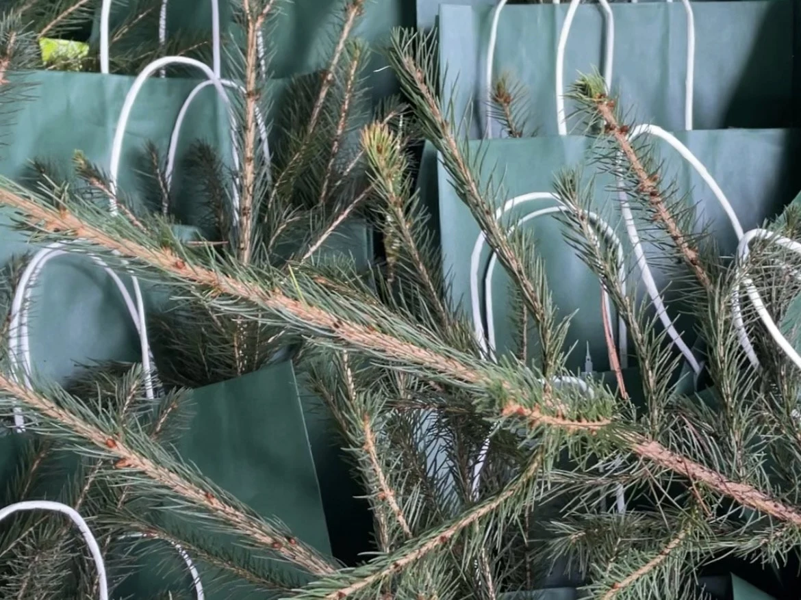 Czyste, Zielone Miasta w Warszawie Gałązki iglaste ułożone na tle zielonych papierowych torebek z białymi uchwytami, dominuje motyw naturalny i ekologiczny.