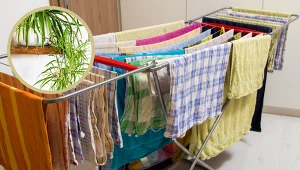 Postaw ją przy suszarce na pranie. Szybko rozwiążesz męczący problem 