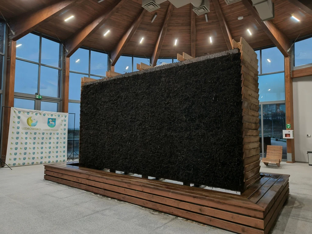 Całoroczna tężnia solankowa zapewnia mikroklimat zbliżony do nadmorskiego i stanowi ważny element aeroterapii Duża tężnia solankowa z ciemnej gałązki i drewna w nowoczesnym, przeszklonym wnętrzu z wysokim drewnianym sufitem i oświetleniem.