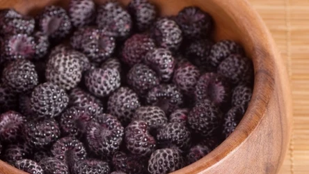 Zamiast chipsów chrup liofilizowane owoce. Serce ci podziękuje