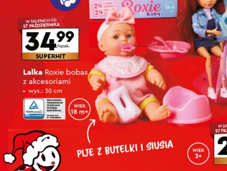 Lalka z akcesoriami Roxie