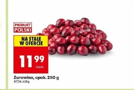 Żurawina Katarzyna Stoparczyk