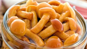 Te marynowane grzybki smakują wybornie. Zrobisz je w kilka chwil 