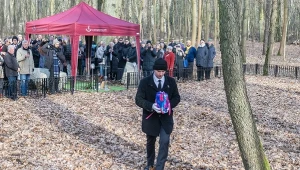 Nowy rodzaj pochówku wchodzi do Polski. W zgodzie z naturą za 490 zł