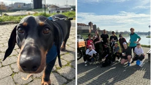 Biegasz z psem? W Krakowie ruszył klub stworzony dla ciebie