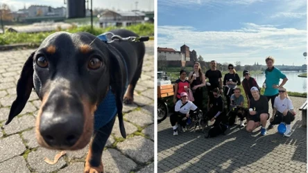 Zoomies Run Club to otwarte spotkania biegowe, które łączą ludzi i psy