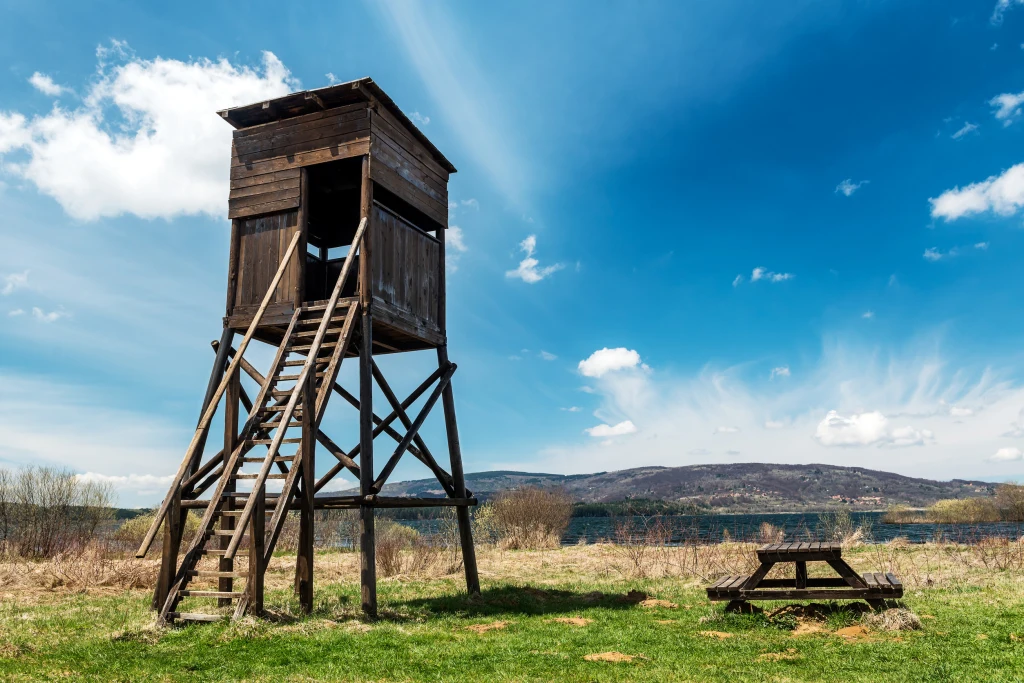 Co z badaniami okresowymi dla myśliwych? Co z badaniami okresowymi dla myśliwych?