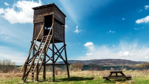 Aktywiści składają skargę na polskich myśliwych do KE. "Mamy dość"