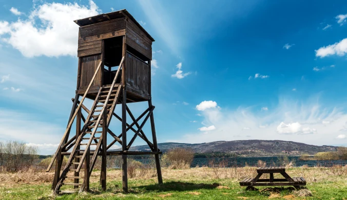 Aktywiści składają skargę na polskich myśliwych do KE. "Mamy dość"