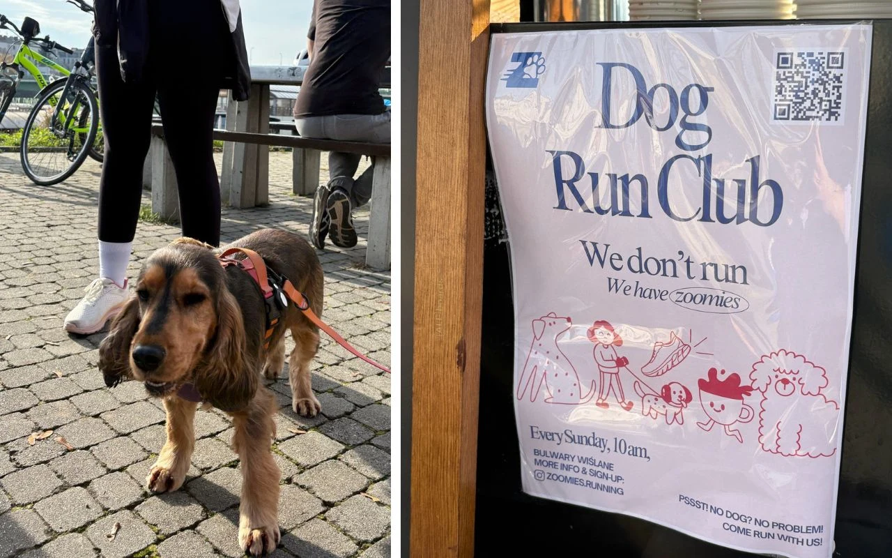 Po lewej stronie młody pies na smyczy na tle brukowanego chodnika i nóg osoby dorosłej, w tle rower i ławka z siedzącymi ludźmi, po prawej stronie plakat z napisem Dog Run Club i informacjami o klubie dla psów.