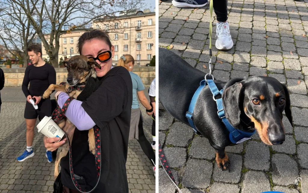 Kobieta w okularach przeciwsłonecznych obejmuje małego psa na tle grupy ludzi, obok znajduje się drugi kadr ze zbliżeniem na czarnego jamnika w niebieskich szelkach stojącego na chodniku.