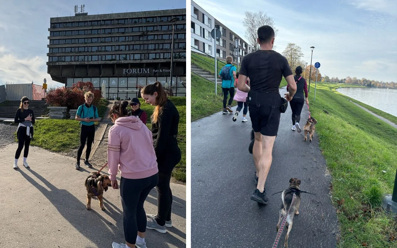 Grupa ludzi w sportowych ubraniach spaceruje i biega z psami na terenach rekreacyjnych w mieście. Budynek hotelu Forum oraz nowoczesne apartamentowce widoczne w tle. Słońce rzuca długie cienie, atmosfera aktywności i rekreacji.