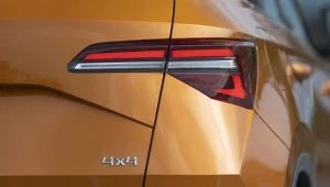 Dlaczego napęd 4x4 przydaje się nie tylko zimą?