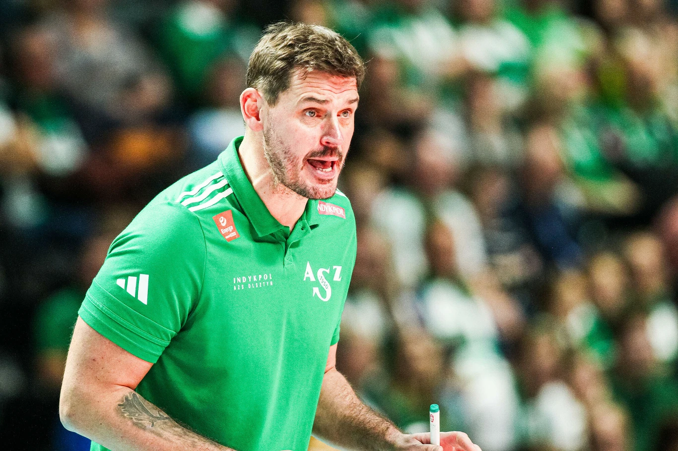 Daniel Pliński, trener Indykpolu AZS Olsztyn Trener ubrany w zieloną koszulkę sportową gestykuluje podczas meczu siatkówki, w tle rozmyta widownia ubrana w zielone barwy.