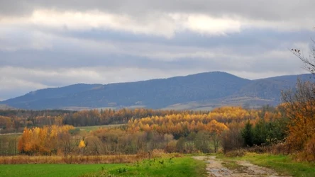 Idealna propozycja na jesienną wycieczkę. Z dala od tłumu i zgiełku