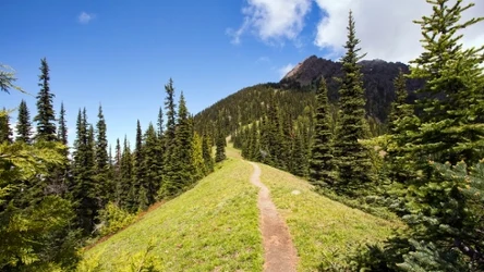 Gdzie warto wybrać się na jesienną wycieczkę w górach? Małe Pieniny są idealnym kandydatem. Zdj. ilustracyjne 