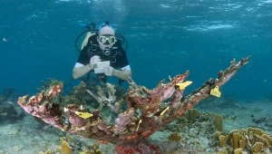 Przypominają poroże jelenia i żyły tysiące lat. Właśnie uznano je za martwe