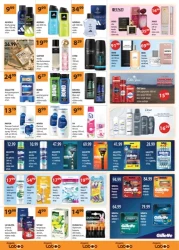 Blask i świeżość każdego dnia – Laboo