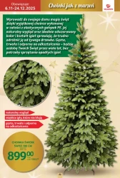 Boże Narodzenie w Selgros