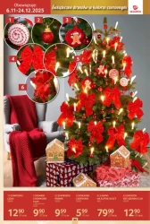 Boże Narodzenie w Selgros