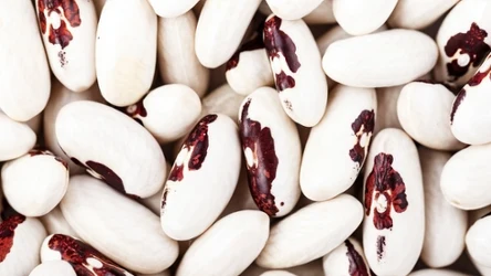 Jakie wartości odżywcze ma fasola z orzełkiem? Kto powinien ją spożywać?