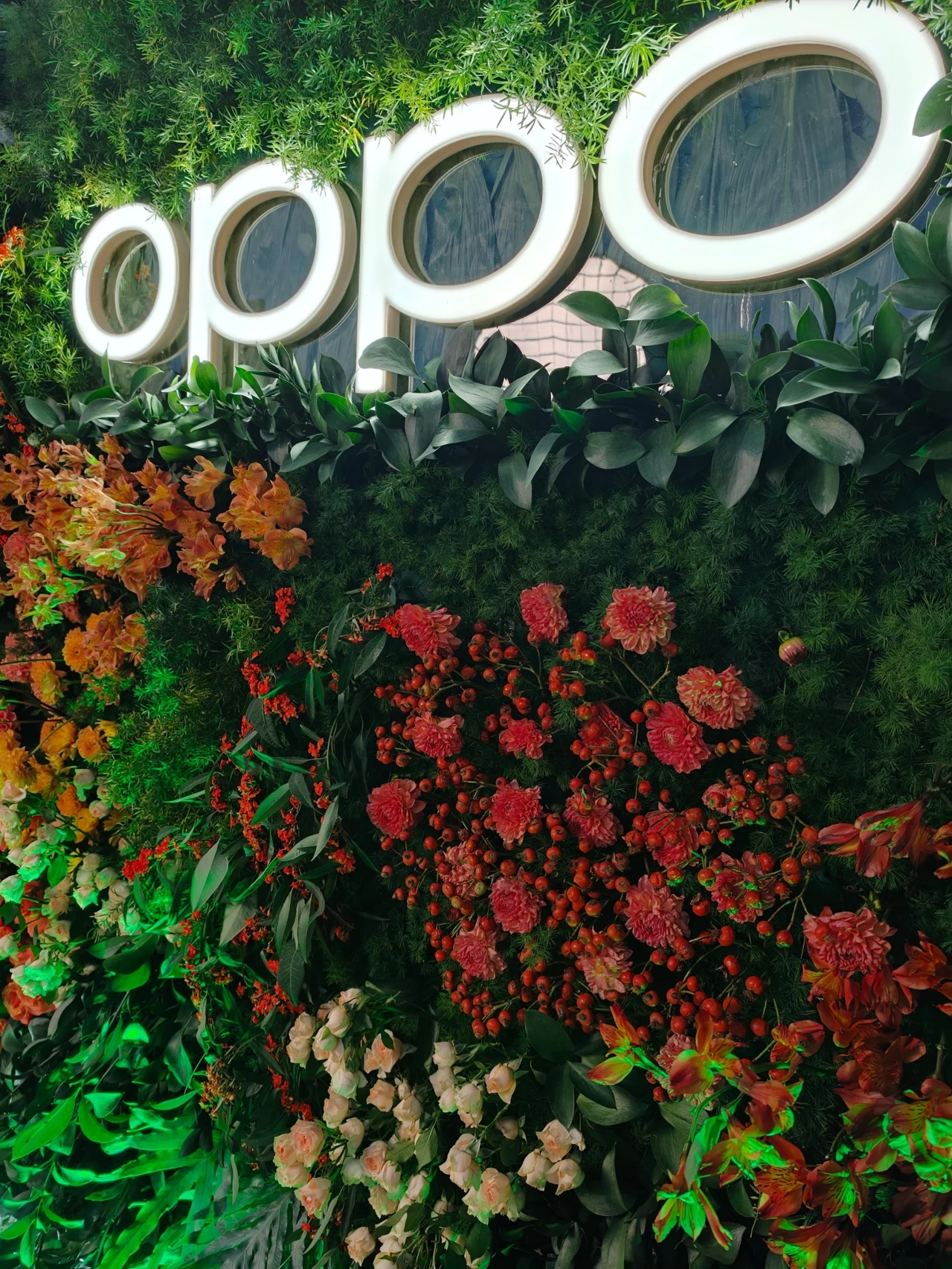 Zdjęcie wykonane po zmroku. Logo marki Oppo umieszczone na ścianie pokrytej bujną roślinnością i różnorodnymi kwiatami w odcieniach zieleni, pomarańczu oraz czerwieni, tworzącymi efektowną dekorację.