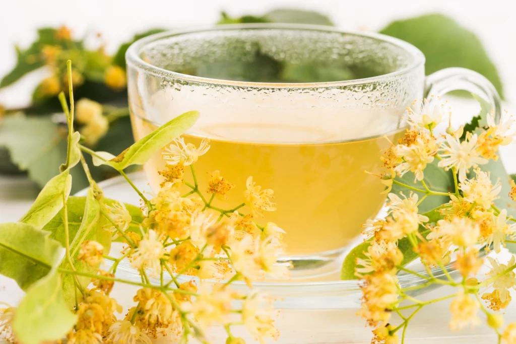 Bierz zamiast drogich leków. Jakie rośliny i zioła są dobre na przeziębienie? Jednym z najlepszych jest kwiat lipy. 