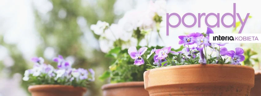 Zobacz, jak ułatwić sobie codzienność sprytnymi sposobami Doniczki z kwiatami, głównie fioletowymi bratkami, ustawione w ogrodzie, rozmyte tło tworzy przyjemną atmosferę letniego dnia. W tle widoczne napisy 'porady' oraz 'interia KOBIETA'.