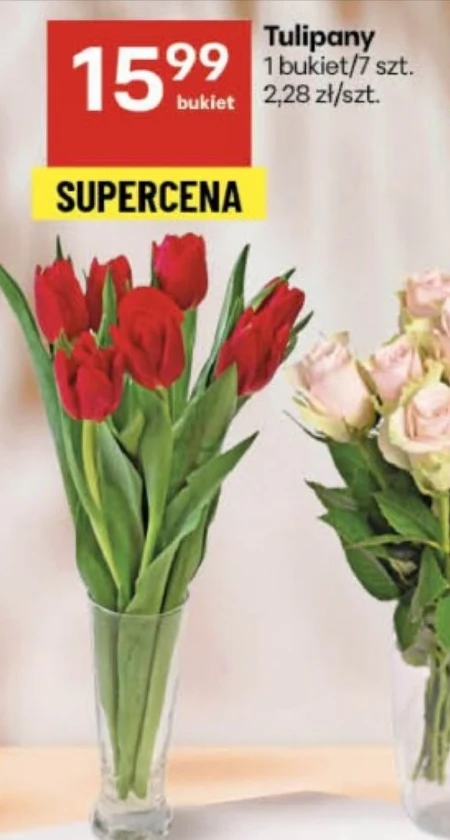 Bukiet tulipanów Tulipany