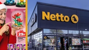 Te kwiaty nie potrzebują wody! Kreatywne zestawy z klocków od 15 zł w Netto