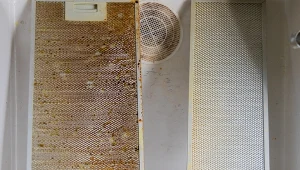 Wystarczy jedynie kilka kropel. Rozpuści stary kurz i tłuszcz w kuchni