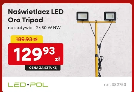 Naświetlacz Ledpol