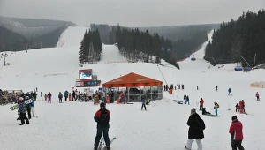 Praca sezonowa w Czechach tuż przy granicy. Płacą nawet 70 zł za godzinę