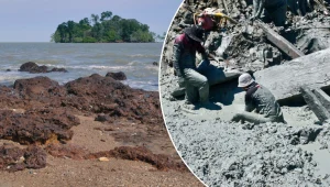 Odkryli niezwykły wrak. Sekret skrywały piaski niewielkiej wysepki