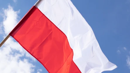 W tych sklepach kupisz flagę Polski przed Dniem Niepodległości. Sprawdziłam ceny!