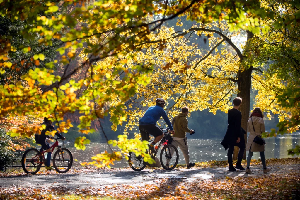 Wraca złota polska jesień (zdj. ilustracyjne) Wraca złota polska jesień (zdj. ilustracyjne)