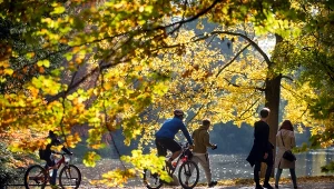 Wraca złota polska jesień. Wyż rozgonił chmury