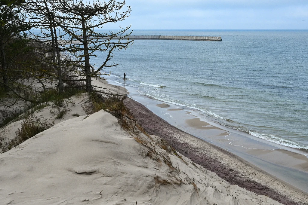 Piaszczysta wydma porośnięta rzadkimi drzewami schodzi w kierunku brzegu spokojnego morza, w tle widoczny falochron oraz samotna osoba spacerująca wzdłuż linii wody.