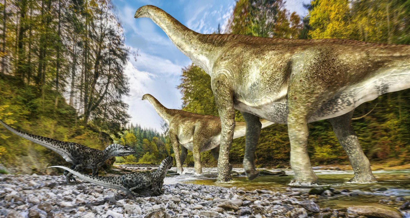 Turiazaury mogły osiągać nawet ponad 30 metrów Grupa dużych dinozaurów roślinożernych przechodzi przez kamieniste dno rzeki wśród gęstego lasu, podczas gdy dwa mniejsze dinozaury drapieżne obserwują sytuację z bliskiej odległości.